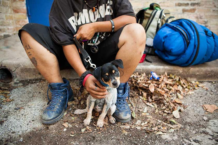 homeless-dogs-unconditional-love-best-friend-108__700.jpg