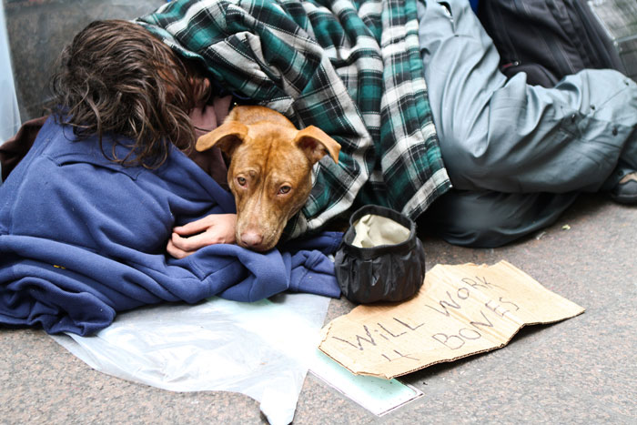 homeless-dogs-unconditional-love-best-friend-110__700.jpg