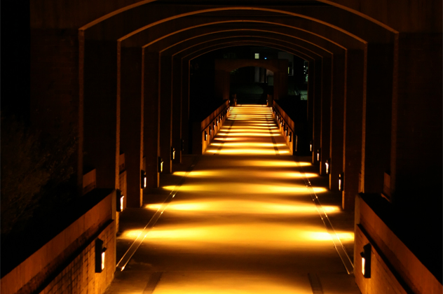 Bridge at night in Centennial Campus, NC State University