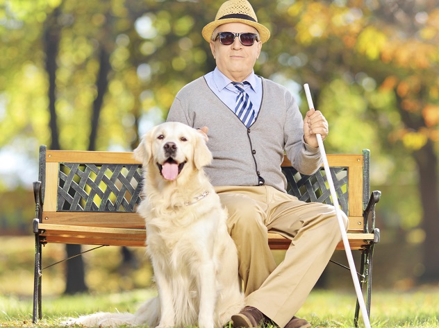 Senior blind gentleman sitting on bench with his dog