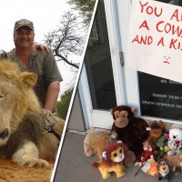 After Killing The Famous Lion, Internet Outrage Forces The Killer Dentist To Close His Clinic!!