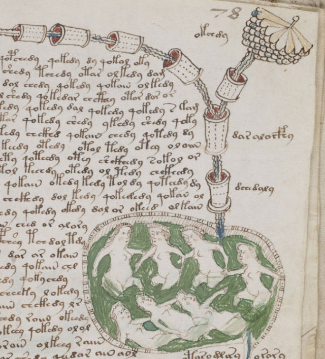 Voynich-manuscript (1)