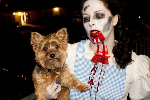 halloween-costume-zombie-alice-worried-dog-13525503153