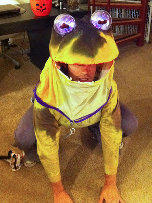 hypno-toad-cosplay-costume-frog-hypno-13909562793