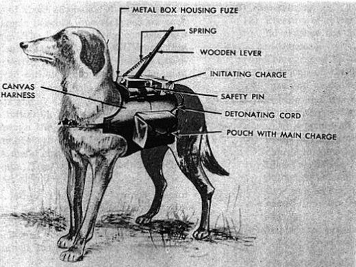 Anti-tank-dog-backfire