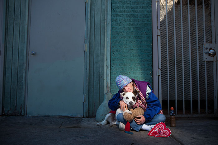 homeless-dogs-unconditional-love-best-friend-105__700