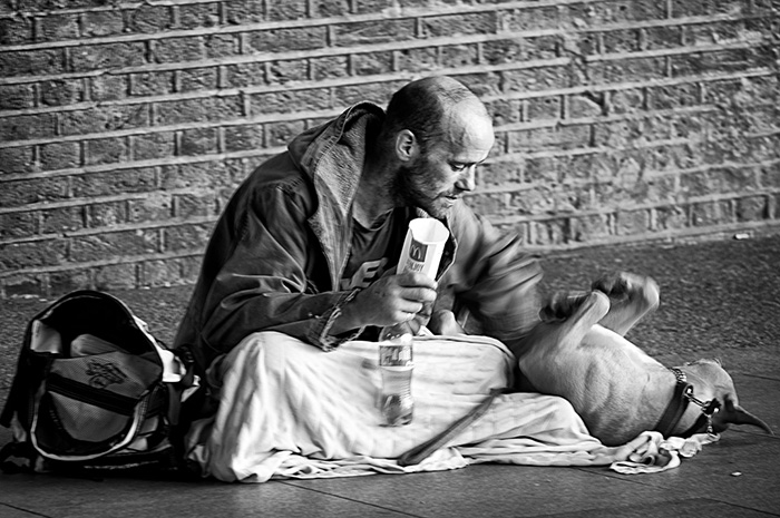 homeless-dogs-unconditional-love-best-friend-30__700