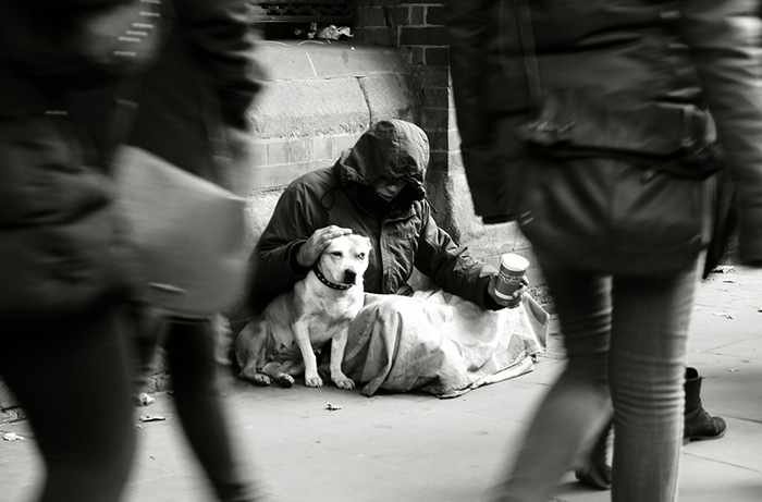 homeless-dogs-unconditional-love-best-friend-32__700