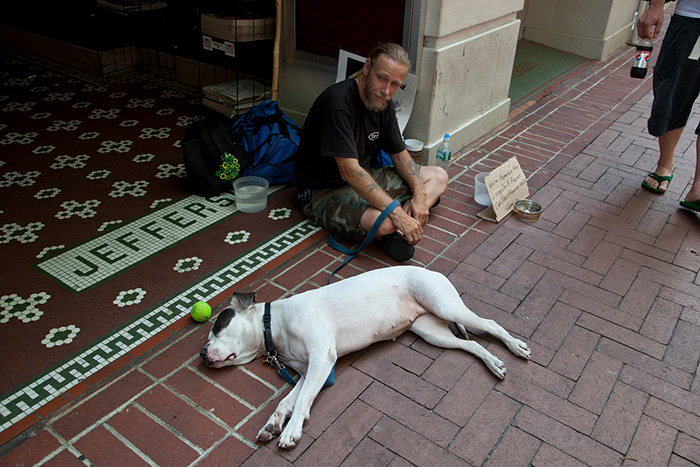homeless-dogs-unconditional-love-best-friend-36__700