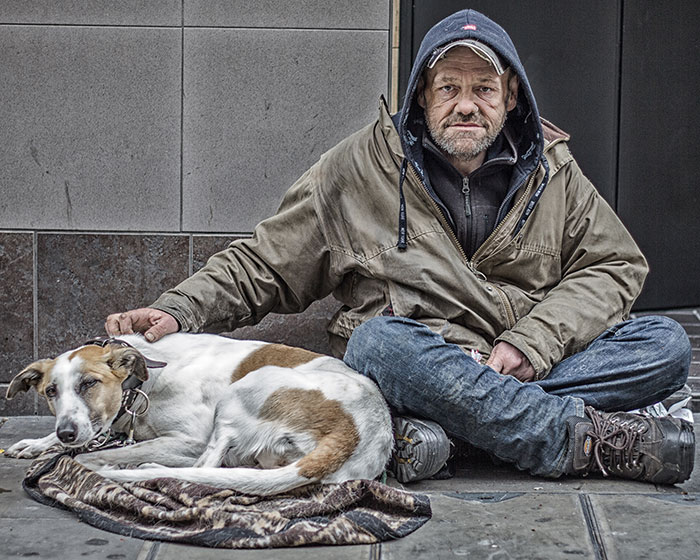 homeless-dogs-unconditional-love-best-friend-42__700