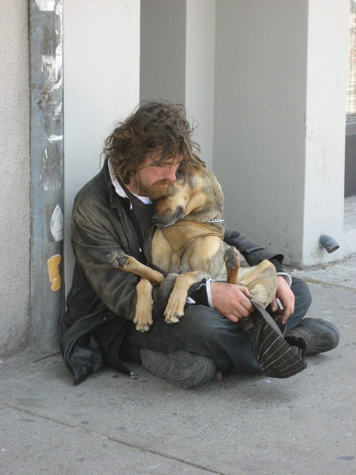 homeless-dogs-unconditional-love-best-friend-48__700
