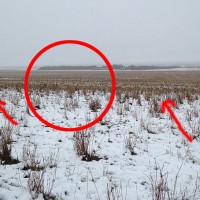 7 Optical Illusions That Caused The Internet To Lose Its Mind In 2015. #1 For Sure Started A War