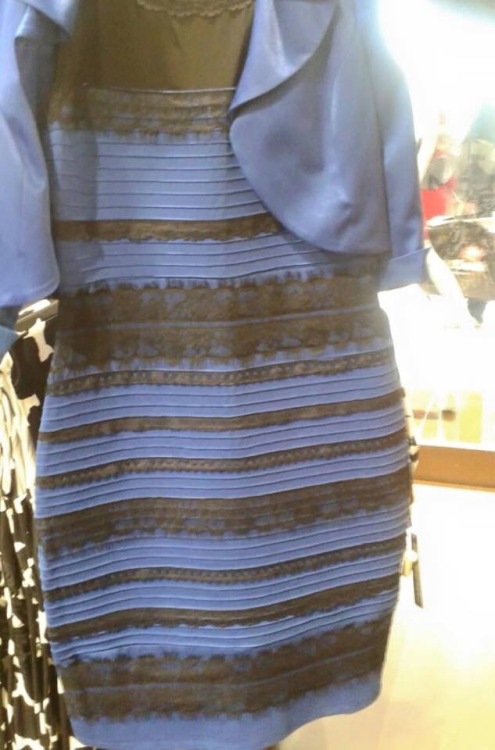 thedress-NdgXDb