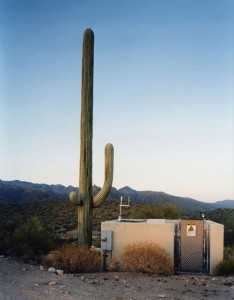 cell-phone-tower-disguised-as-a-cactus-25
