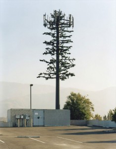 cell-phone-tower-disguised-as-a-tree-13