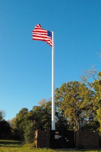 cell-phone-tower-flag-pole-4
