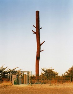 cell-phone-tower-tree-trunk-6