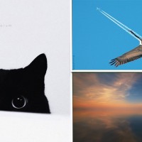 These 20 Perfect Photographs Will Please Every Minimalist.